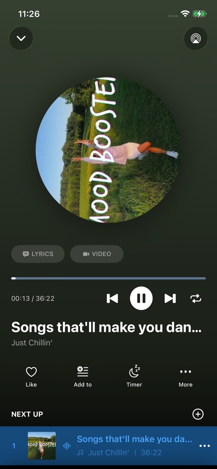 Plytube full screen music player